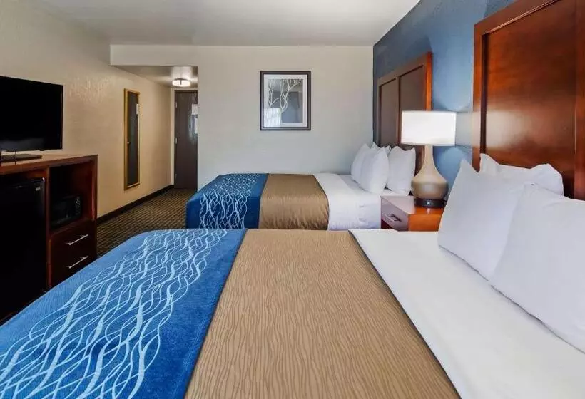 اتاق استاندارد برای معلولان, Best Western Northwest Corpus Christi Inn & Suites