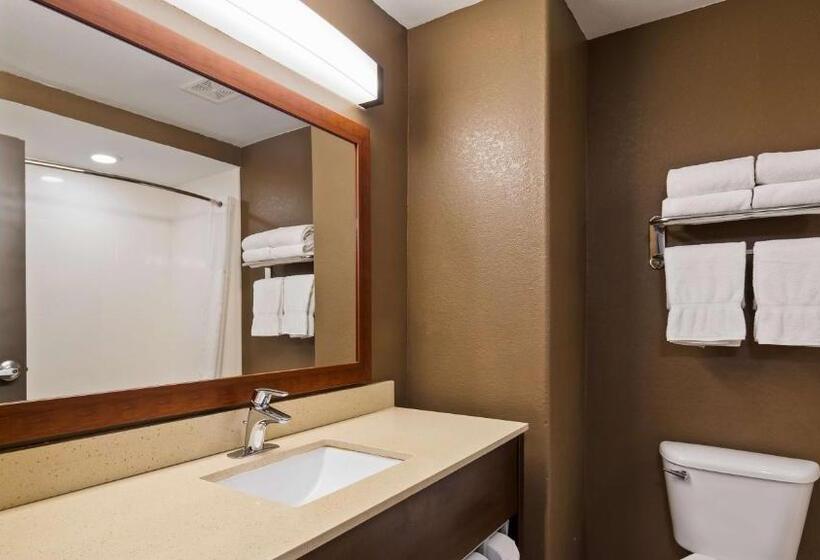 חדר סטנדרט מותאם לאדם עם מוגבלויות, Best Western Northwest Corpus Christi Inn & Suites