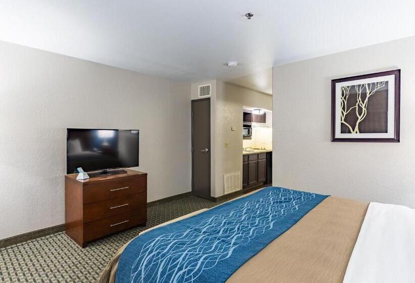 Люкс Адаптированный для Инвалидов, Best Western Northwest Corpus Christi Inn & Suites