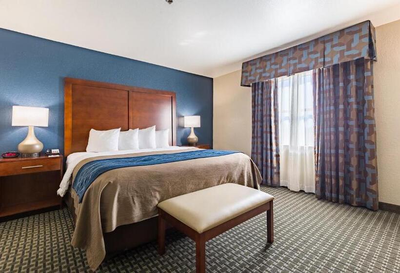 סוויטה מותאמת לאדם עם מוגבלויות, Best Western Northwest Corpus Christi Inn & Suites