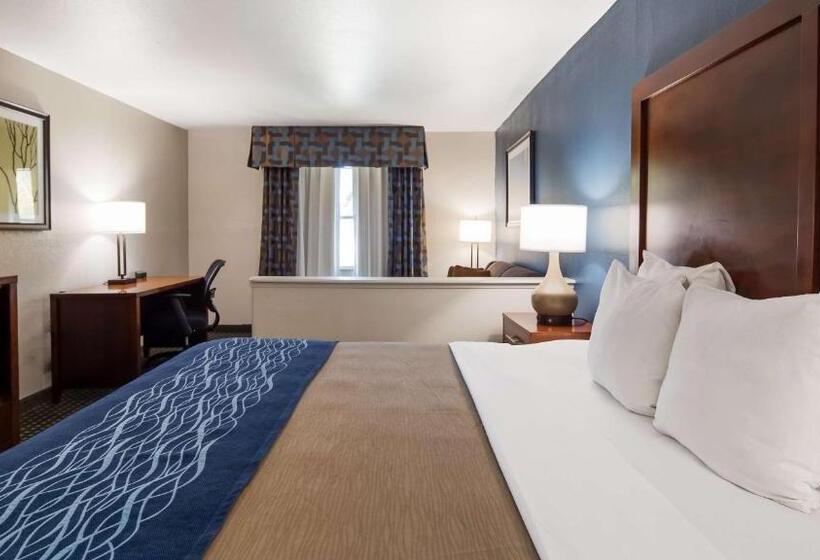 اتاق اجرایی با تخت بزرگ, Best Western Northwest Corpus Christi Inn & Suites