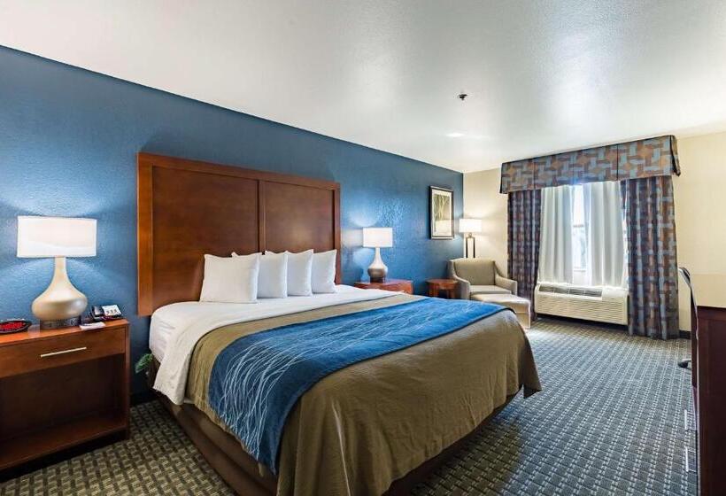 Стандартный Номер Кровать Кинг, Best Western Northwest Corpus Christi Inn & Suites