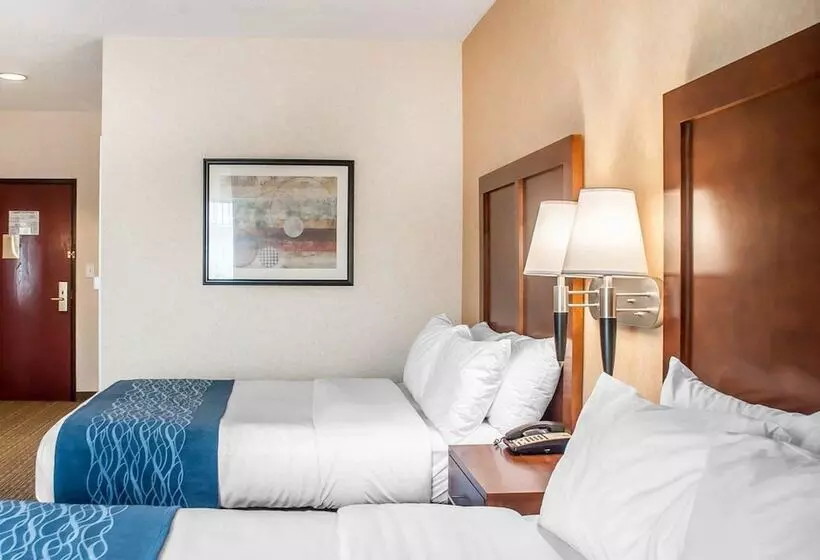 ２ダブルベッドのスタンダードルーム, Comfort Inn & Suites
