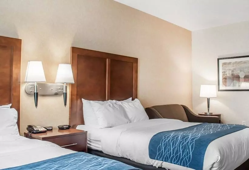 ２ダブルベッドのスタンダードルーム, Comfort Inn & Suites