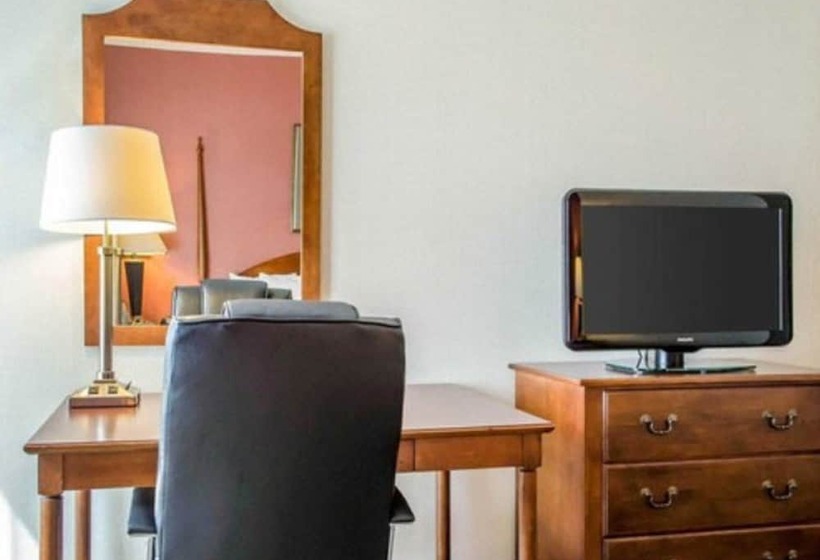 스탠다드 룸, Comfort Inn & Suites