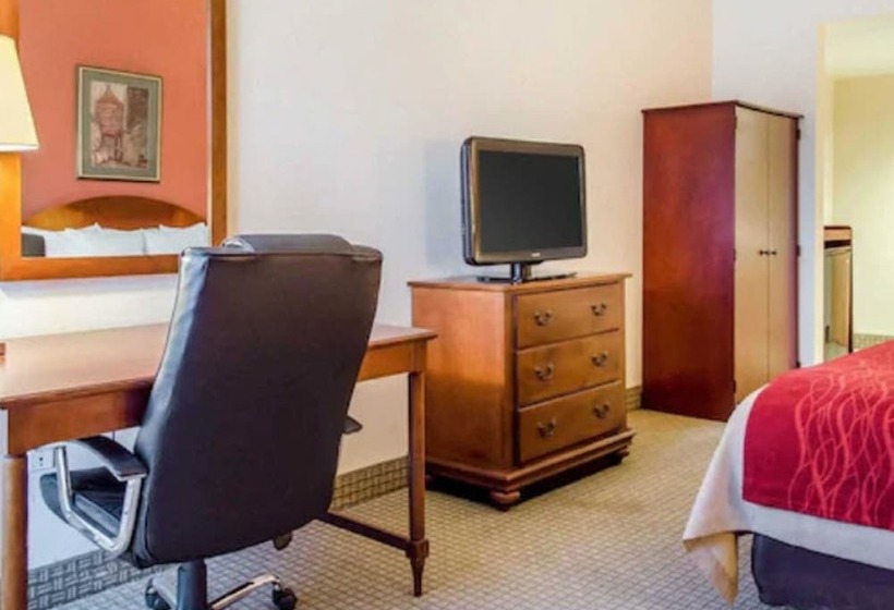 스탠다드 룸, Comfort Inn & Suites