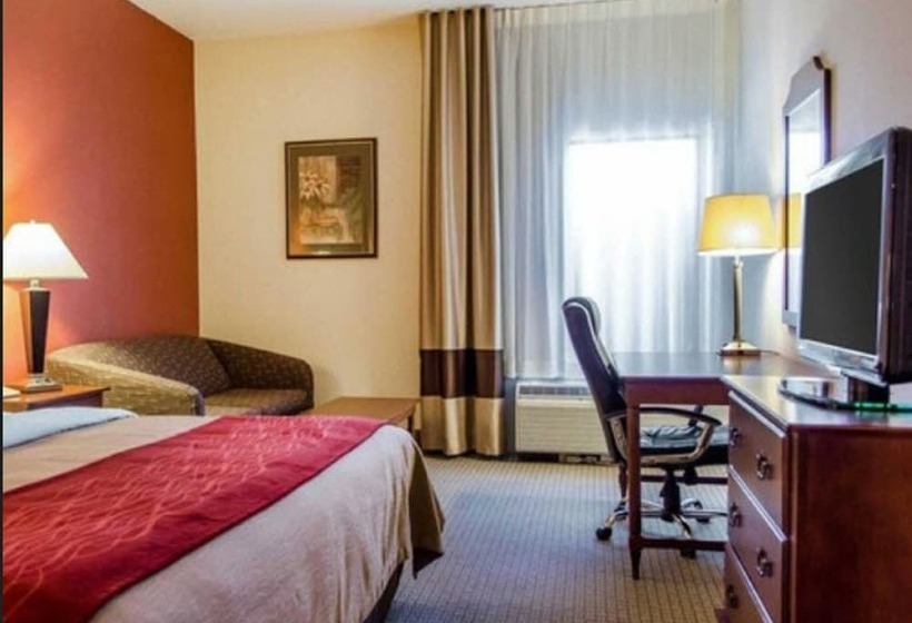 标准间, Comfort Inn & Suites