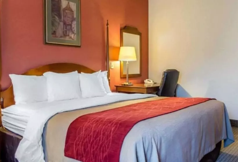 スタンダードルーム, Comfort Inn & Suites