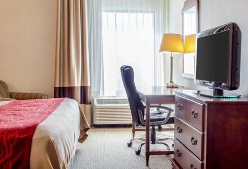 스탠다드 룸, Comfort Inn & Suites