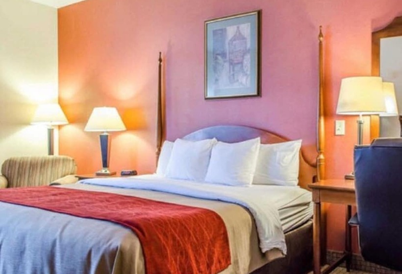 스탠다드 룸, Comfort Inn & Suites