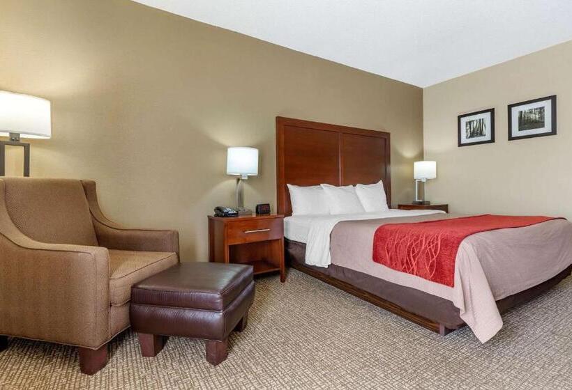 Quarto Estandar Cama King, Comfort Inn Blythewood  North Columbia