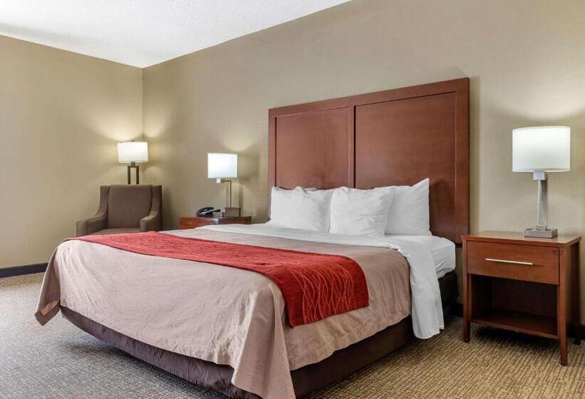 חדר סטנדרט עם מיטת קינג, Comfort Inn Blythewood  North Columbia