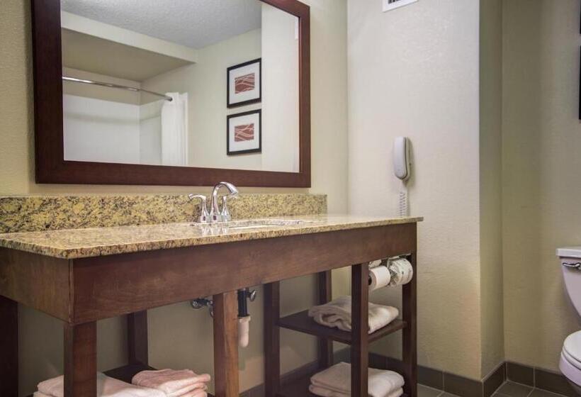 스탠다드 룸 킹사이즈 침대, Comfort Inn Blythewood  North Columbia