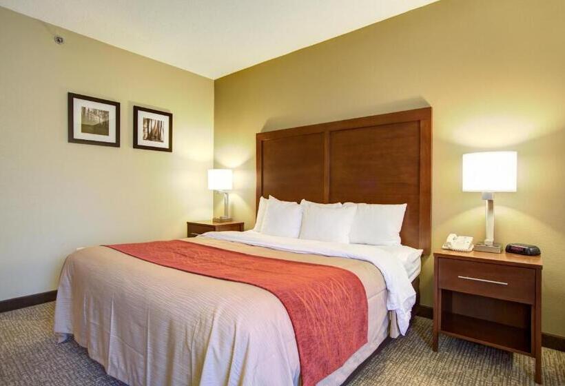 Quarto Estandar Cama King, Comfort Inn Blythewood  North Columbia