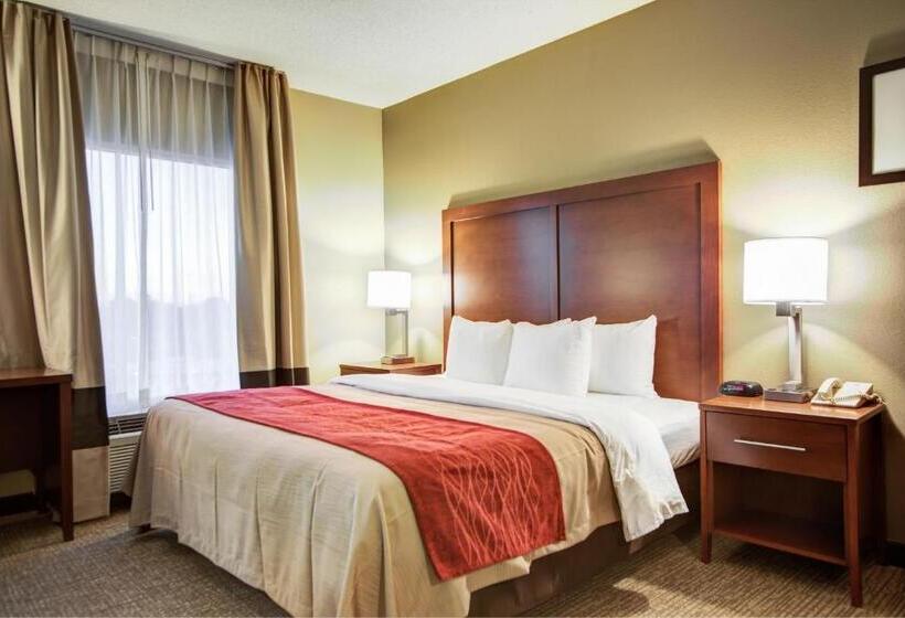 غرفة قياسية سرير كينج, Comfort Inn Blythewood  North Columbia