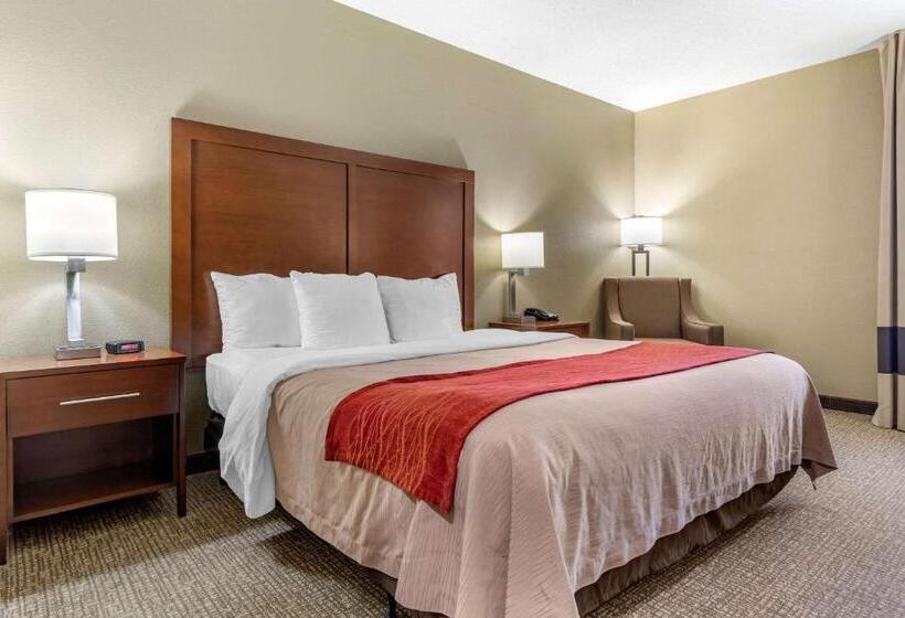 스탠다드 룸 킹사이즈 침대, Comfort Inn Blythewood  North Columbia