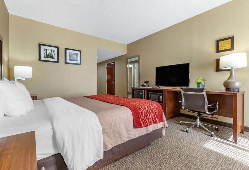 Quarto Estandar Cama King, Comfort Inn Blythewood  North Columbia
