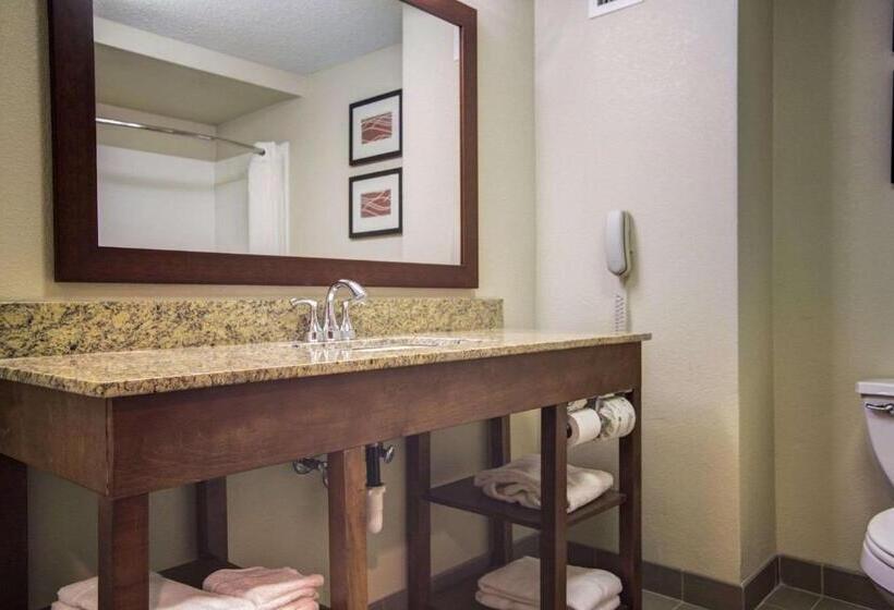 غرفة قياسية, Comfort Inn Blythewood  North Columbia