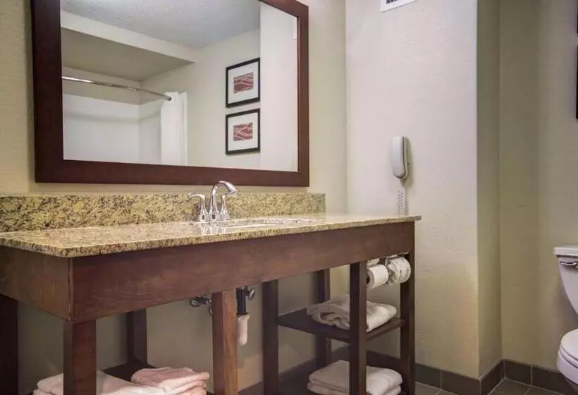 Standard-huone, Comfort Inn Blythewood North Columbia