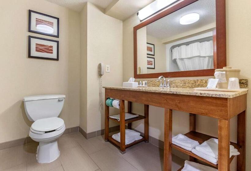 غرفة قياسية لذوى الاحتياجات الخاصة, Comfort Inn Blythewood  North Columbia