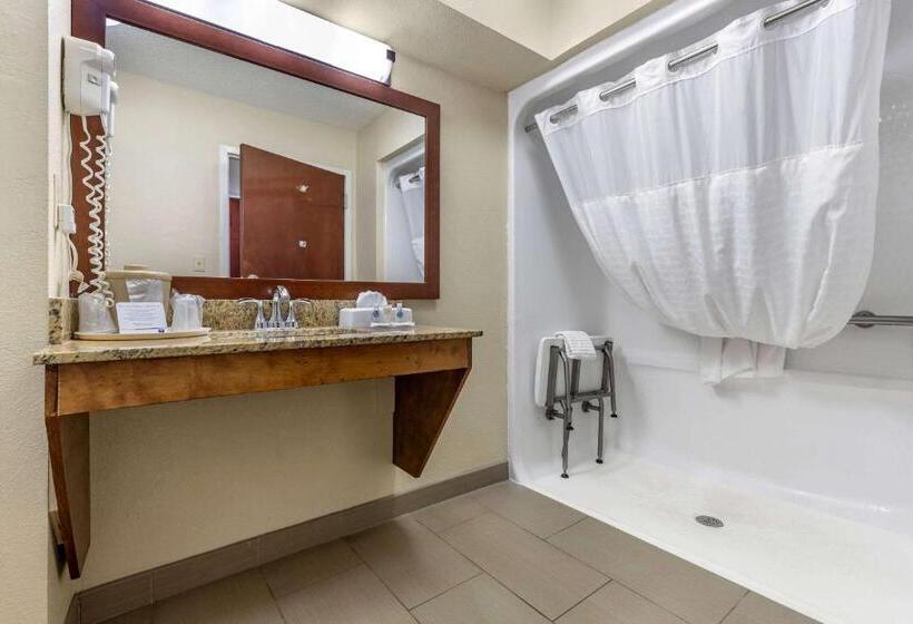 장애인을 위한 스탠다드 룸, Comfort Inn Blythewood  North Columbia