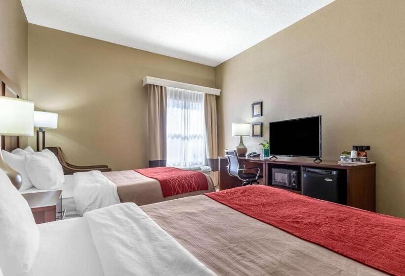غرفة قياسية لذوى الاحتياجات الخاصة, Comfort Inn Blythewood  North Columbia