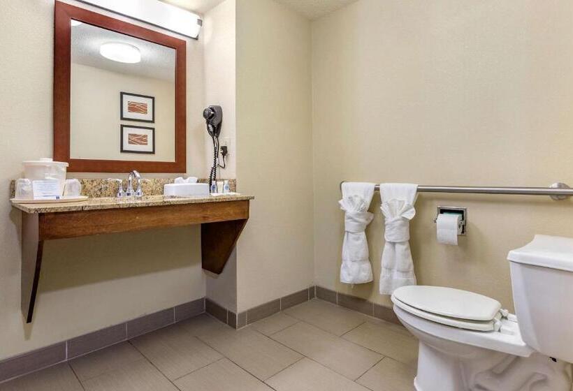 장애인을 위한 스탠다드 룸, Comfort Inn Blythewood  North Columbia