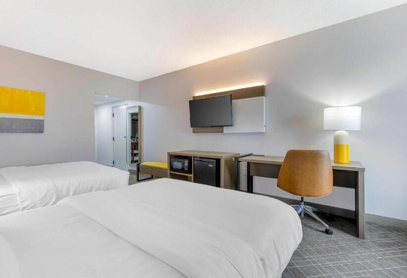 Quarto Estandar para Deficientes Físicos, Comfort Inn Blythewood  North Columbia