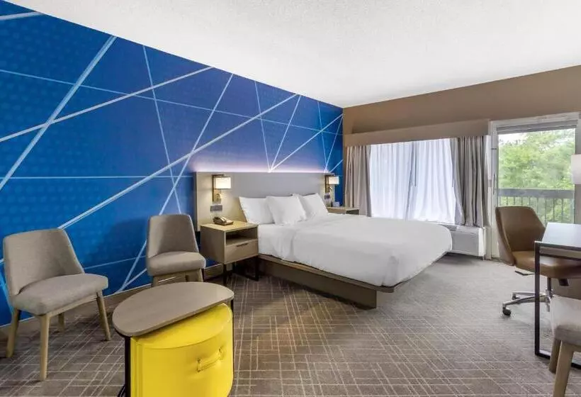 Sviitti King-vuode, Comfort Inn Blythewood North Columbia