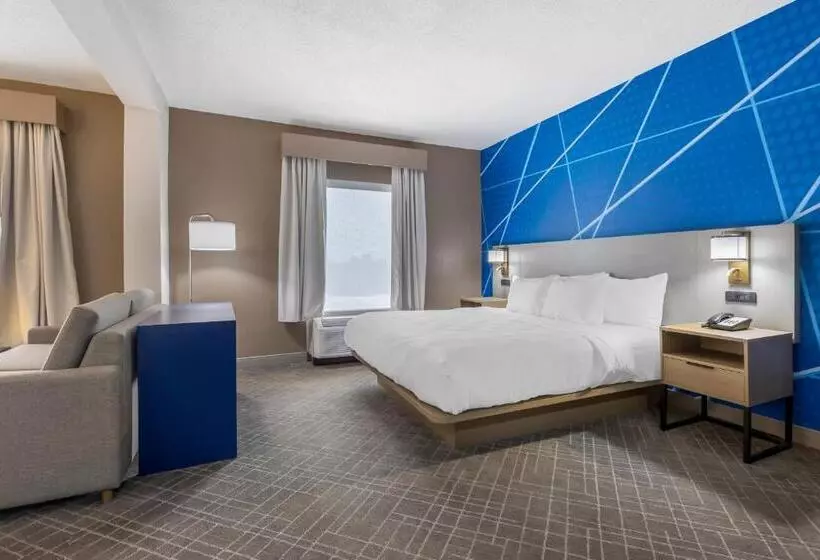Sviitti King-vuode, Comfort Inn Blythewood North Columbia