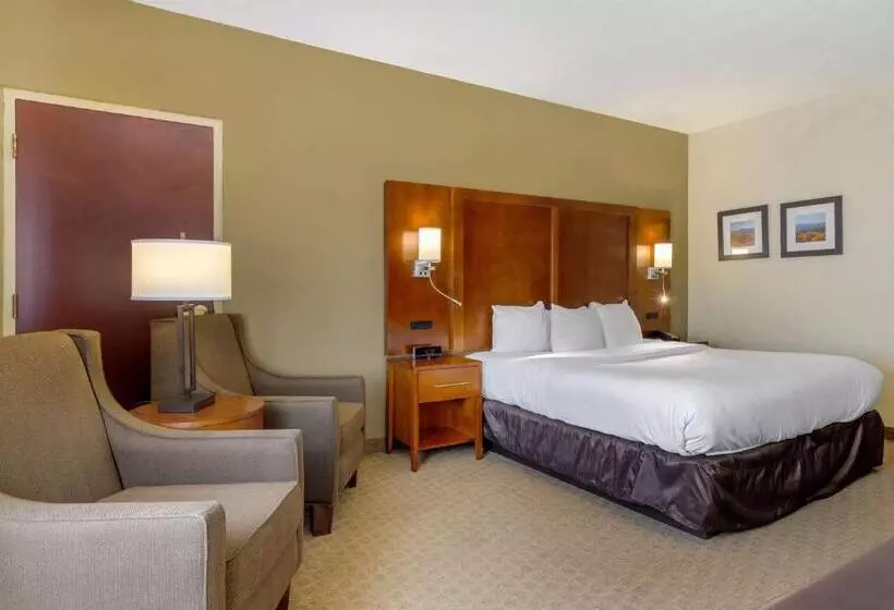 キングサイズベッドのスタンダードルーム, Comfort Inn Columbus Near Fort Moore