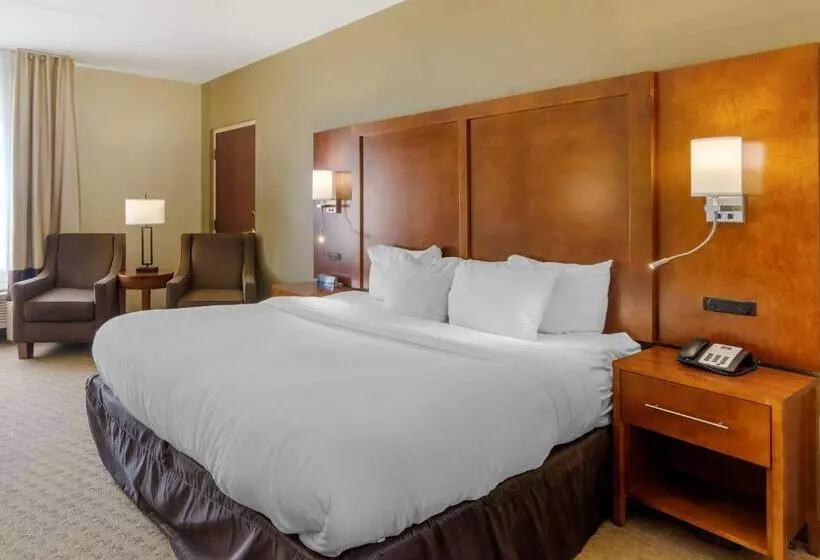 キングサイズベッドのスタンダードルーム, Comfort Inn Columbus Near Fort Moore