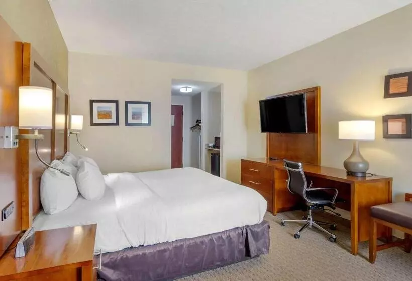 キングサイズベッドのスタンダードルーム, Comfort Inn Columbus Near Fort Moore