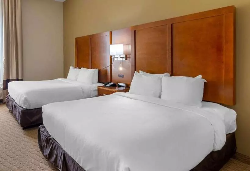 スタンダードルーム, Comfort Inn Columbus Near Fort Moore