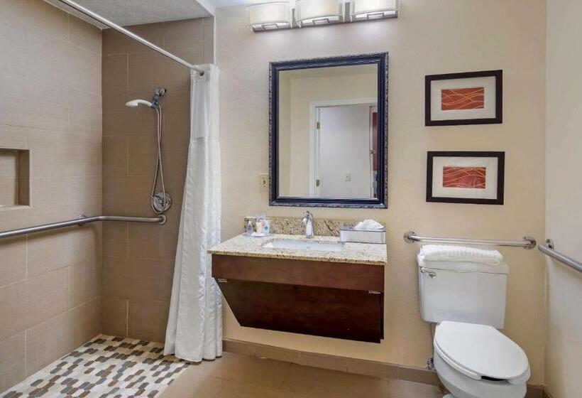 Quarto Estandar para Deficientes Físicos, Comfort Inn Columbus Near Fort Moore