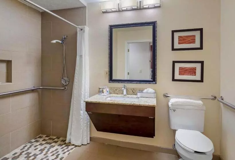 身障者適用スタンダードルーム, Comfort Inn Columbus Near Fort Moore