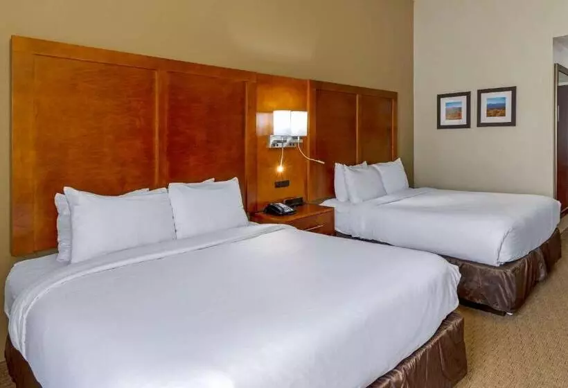 身障者適用スタンダードルーム, Comfort Inn Columbus Near Fort Moore
