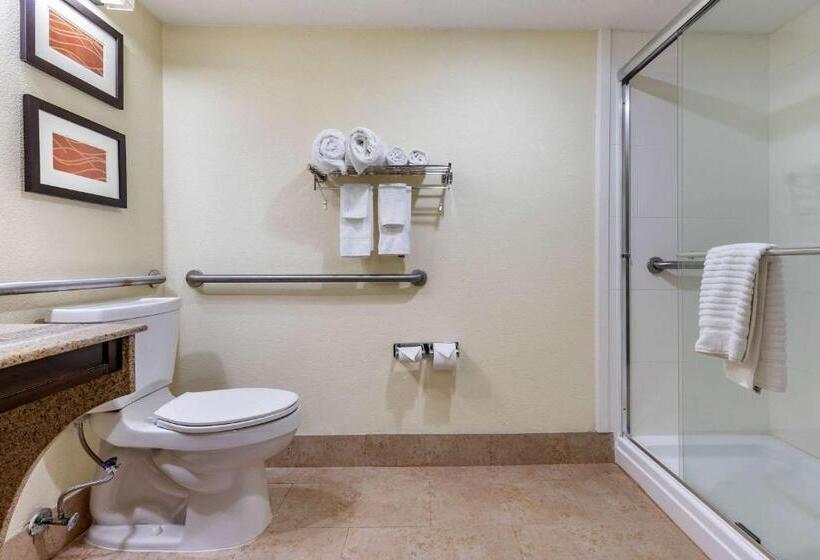 Стандартный Номер Кровать Кинг, Comfort Inn & Suites Lake Norman