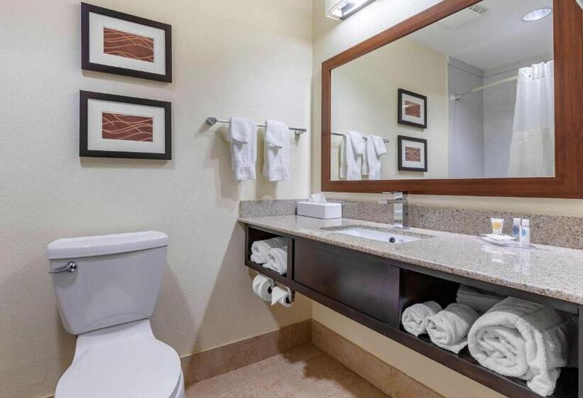 מיטת קינג בסוויטה, Comfort Inn & Suites Lake Norman