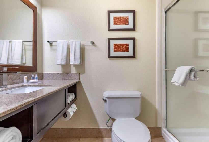 מיטת קינג בסוויטה, Comfort Inn & Suites Lake Norman