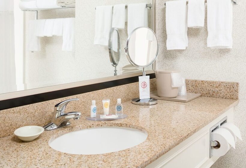 身障者適用スイートルーム, Comfort Inn & Suites Near Burke Mountain