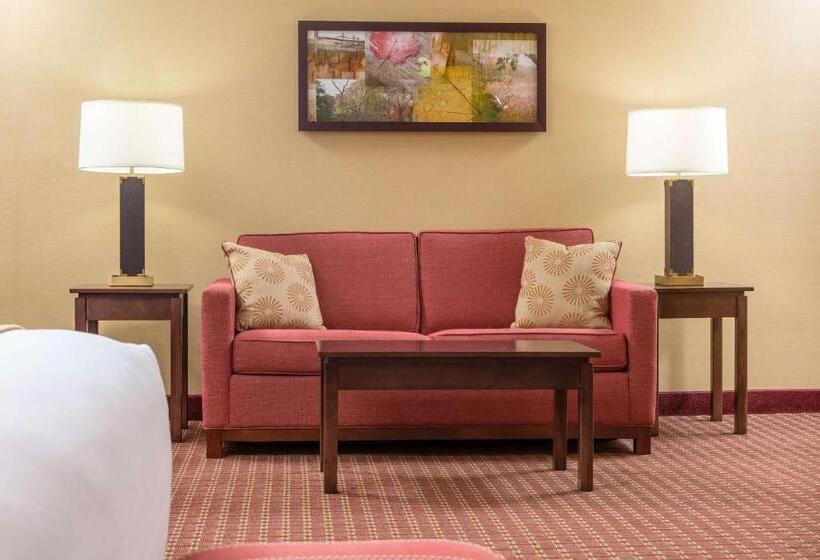 キングサイズベッドのスタンダードルーム, Comfort Inn & Suites Near Burke Mountain