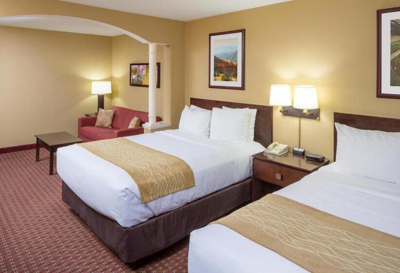 スタンダードルーム, Comfort Inn & Suites Near Burke Mountain