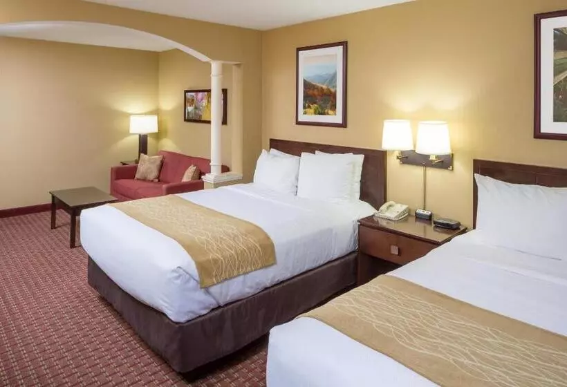 スタンダードルーム, Comfort Inn & Suites Near Burke Mountain