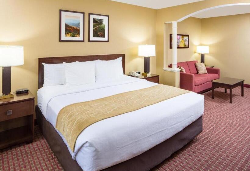 身障者適用キングサイズベッドルーム, Comfort Inn & Suites Near Burke Mountain