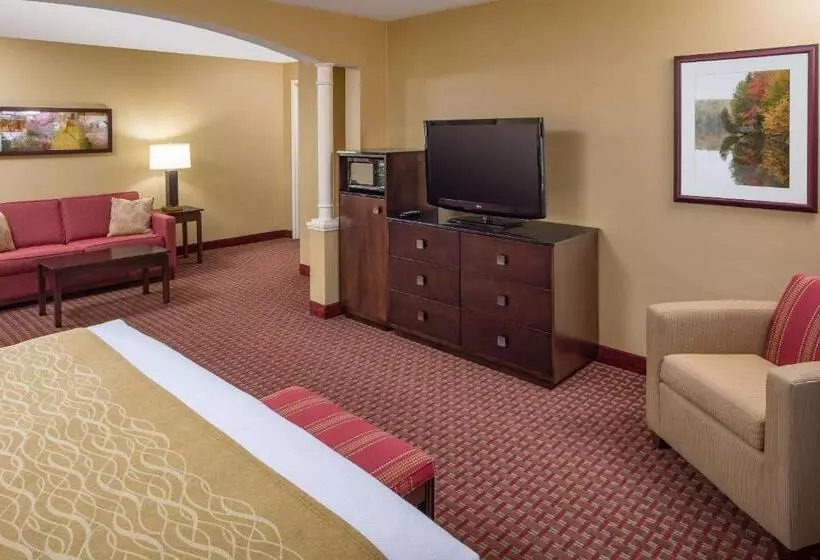 身障者適用スイートルーム, Comfort Inn & Suites Near Burke Mountain