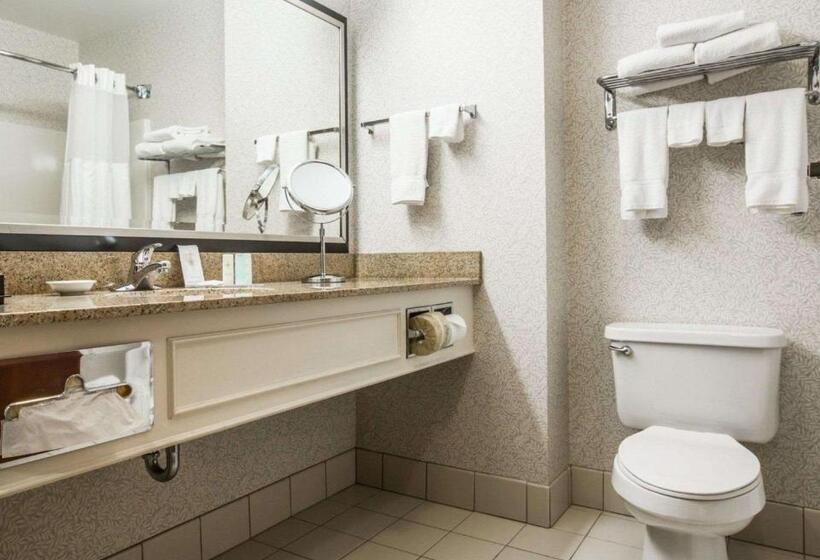 身障者適用スタンダードルーム, Comfort Inn & Suites Near Burke Mountain