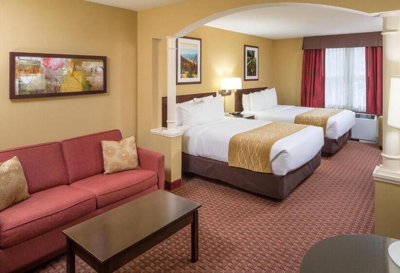 Quarto Estandar para Deficientes Físicos, Comfort Inn & Suites Near Burke Mountain