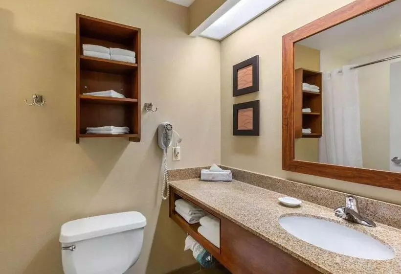 キングサイズベッドのスイートルーム, Comfort Inn & Suites North Conway