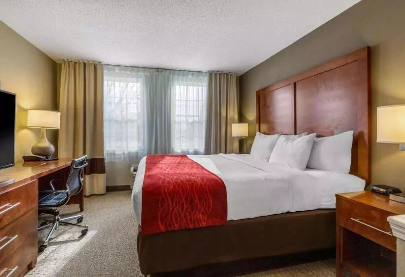 キングサイズベッドのスイートルーム, Comfort Inn & Suites North Conway